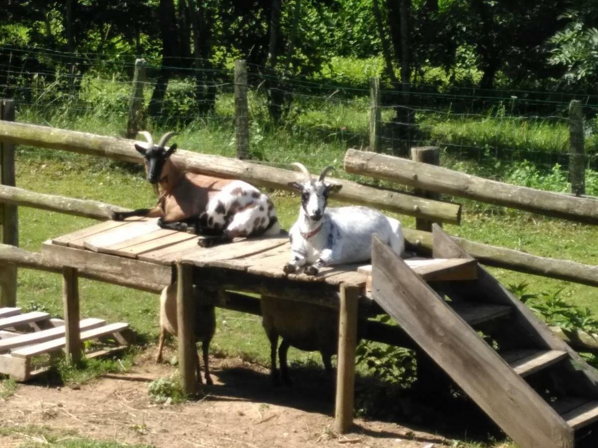 Le Paradis Des Animaux Coublevie Exterior foto