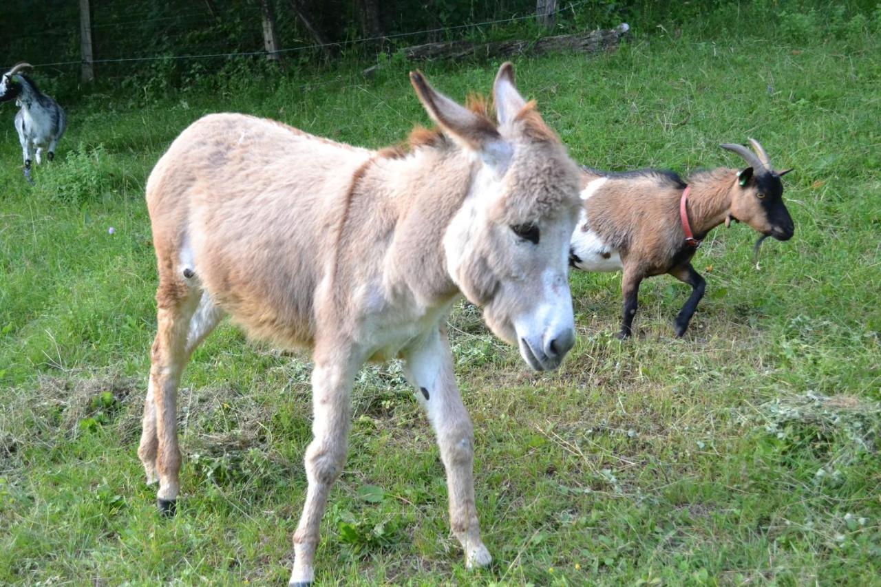 Le Paradis Des Animaux Coublevie Exterior foto